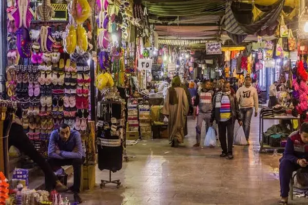Jardin botanique et souk d'Assouan