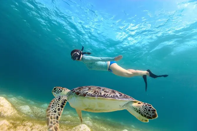 Excursion de snorkeling à Abu Dabbab