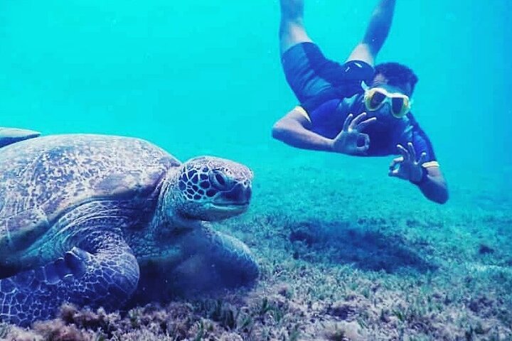 marsa alam